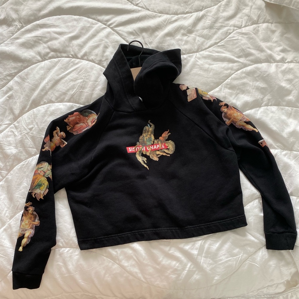 Zara Sistine Chapel Cropped Hoodie